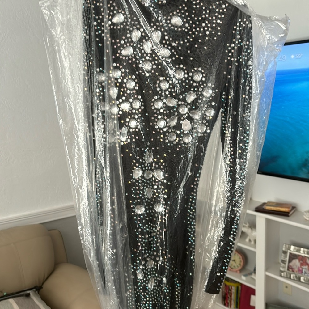 Long see through cat suit with beaded coverage